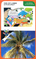 Disney Humour Arbre Le Plus Utile Cocotier De Cuba Fiche Illustrée Documentée Plantes Et Arbres - Otros & Sin Clasificación