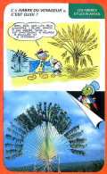 Disney Humour Arbre Du Voyageur Ravenala  Fiche Illustrée Documentée Plantes Et Arbres - Otros & Sin Clasificación