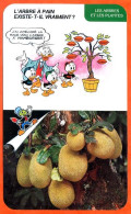 Disney Humour Arbre à Pain  Fiche Illustrée Documentée Plantes Et Arbres - Other & Unclassified