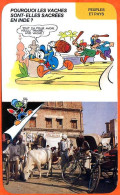 Disney Humour Vaches Sacrées En Inde  Fiche Illustrée Documentée Peuples Et Pays - Autres & Non Classés