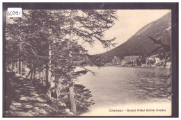 LAC CHAMPEX - HOTEL EMILE CRETTEX - TB - Other & Unclassified