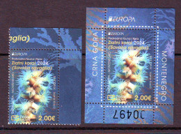 Montengro 2024 Europa (Bl.+1) Savalia Savaglia MNH - Montenegro