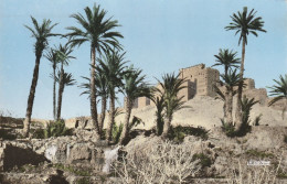 SUD MAROCAIN  - Kasbah De Tifoultoute (Ouarzazate) - Cpsm De 1963 - Très Bon état - 2 Scans - Autres & Non Classés