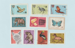 Bulgarie - Lot 22 Timbres Animaux - Oiseaux, Papillons, Chiens, Cheval, Chat, Ours, Poule, Cochon, Mouton, Insectes - Collections, Lots & Séries