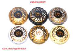 LOT DE 6 CAPSULES DE CHAMPAGNE - PIERRE MIGNON - Collections