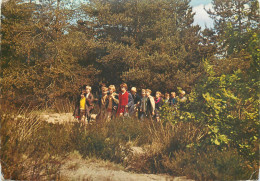 Belgium Kalmthout Domein Diesterweg Playground - Kalmthout