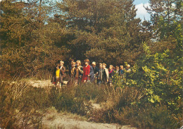 Belgium Kalmthout Domein Diesterweg Playground - Kalmthout