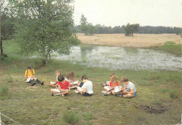 Belgium Kalmthout Domein Diesterweg Playground - Kalmthout