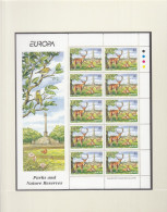 IRLAND  1139-1140, 2 Kleinbogen, Postfrisch **, Europa CEPT: Natur- Und Nationalparks, 1999 - Blocks & Sheetlets