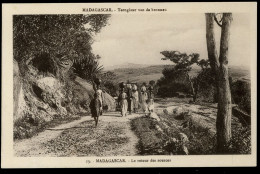 Madagascar Le Retour Des Sources - Madagascar