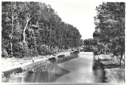 SAINT FIRMIN DES VIGNES - Le Canal - Sonstige & Ohne Zuordnung