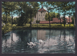 Ansichtskarte Bustedt B. Bünde Westfalen Wasserburg Teich Schwäne Verlag - Autres & Non Classés