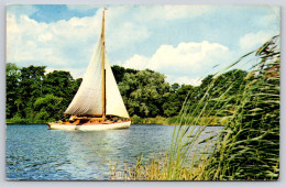 South Walsham & Inner Broad, Norfolk Broads Sailing Boat Postcard Posted, 1965 - Andere & Zonder Classificatie