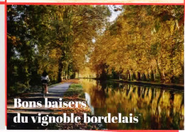 *CPM - 33 - Bon Baisers Du Vignoble Bordelais - Otros & Sin Clasificación