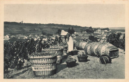 Le Mesnil Sur Oger * Une Scène De Vendanges * Vendangeurs Vignes Vignoble Champagne Moët Et Chandon - Sonstige & Ohne Zuordnung