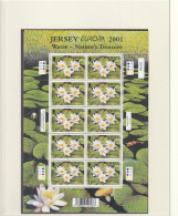 JERSEY  981-982, 2 Kleinbogen, Postfrisch **, Europa CEPT: Lebensspender Wasser, 2001 - Jersey