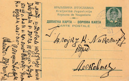 Karte Mit Bahnpost / TPO / Amb / Railway "51 Caribrod - Beograd" - Lettres & Documents