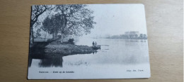 Baasrode-Baesrode  Zicht Op De Schelde - Dendermonde