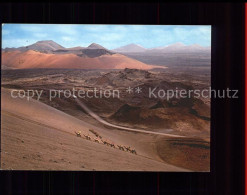 71566692 Lanzarote Kanarische Inseln Montana De Fuego Caravana De Camellos Kamel - Autres & Non Classés