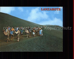 71566691 Lanzarote Kanarische Inseln Montana De Fuego Caravana De Camellos Kamel - Sonstige & Ohne Zuordnung