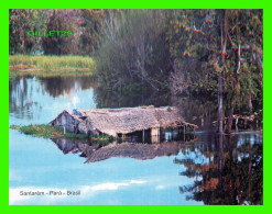 SANTARÉM, BRÉSIL - AMAZON EVENTOS - RIBEIRINHOS LAGO DO MAICA - FOTO ARY MENDONÇA - - Other & Unclassified