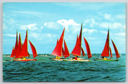 Redwings Boats Sailing, Postcard, Posted (no Stamp) - Other & Unclassified