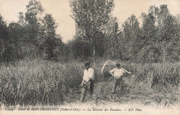 95 Montmorency Foret La Moisson Des Roseaux CPA Scène  Faux Faucheur - Montmorency