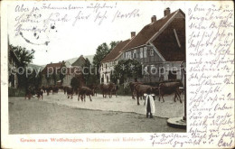 71564831 Wolfshagen Harz Dorfstrasse Mit Kuhherde Wolfshagen - Langelsheim