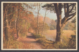 129862/ Paysage D'automne, Ed Coloprint Photocolor 52416 - Photographie