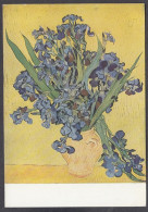 PV359/ VAN GOGH, *Les Iris*, Amsterdam, Rijksmuseum - Schilderijen