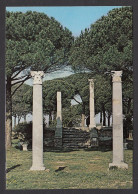 078145/ OSTIA, Ostia Antica, Tempio Di Cerere - Sonstige & Ohne Zuordnung