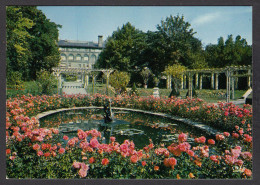 068347/ CLERMONT-FERRAND, Jardin Lecoq, Bassin De La Roseraie  - Clermont Ferrand