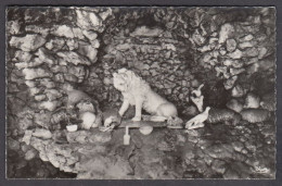 123001/ CLERMONT-FERRAND, Fontaine Pétrifiante, Lion Pétrifié Dans La Grotte - Clermont Ferrand