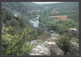 063072/ BAGNOLS-SUR-CÈZE, Les Gorges De La Cèze - Bagnols-sur-Cèze