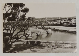 CP Avignon. Le Pont St-Bénézet (XIIe S.) Vu Du Rocher Des Doms. N°4808. Éd. Estel Lavelle & Cie. Véritable Photo. - Avignon