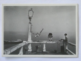 NATATION / Plongeon - Carte Postale Moderne Reproduisant Une Photo De JL LE GALL - Zwemmen