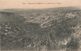 LA BATAILLE DE VERDUN - LE RAVIN DE LA MORT - Weltkrieg 1914-18