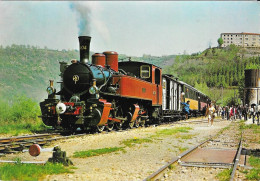 CHEMIN DE FER DU VIVARAIS - Ligne TOURNON-LAMASTRE -Train à Vapeur En Gare De Boucieu-le-Roi - Trains