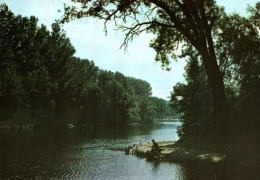 RECTO/VERSO - CPSM - LE QUESNOY - ETANG DU PONT ROUGE - PECHEUR SUR LA RIVE - Le Quesnoy