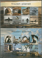 Britische Antarktis 2011 Tiere BBC "Frozen Planet" 545/60 K Postfrisch (C40425) - Unused Stamps