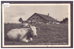 CHALET DES PETITES FAUCONNIERES - VACHES - TB - Autres & Non Classés