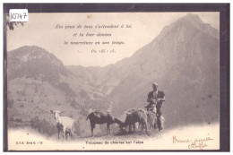 ALPES FRIBOURGEOISES - TROUPEAU DE CHEVRES SUR L'ALPE - TB - Sonstige & Ohne Zuordnung