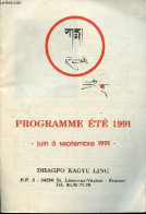 Programme été 1991 - Juin à Septembre 1991 - Dhagpo Kagyu Ling. - Collectif - 1991 - Autres & Non Classés