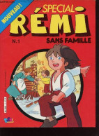 Spécial Rémi Sans Famille N°1 - Collectif - 1982 - Sonstige & Ohne Zuordnung