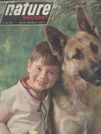 Nature Magazine N°3 Mars 1964- Aventure Au Fil De L'eau- Chiens Merveilleux Radars- Une Oie- Notre Ami Mistigris Et Ses  - Andere Magazine