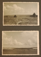 Lot De 2 CP. Paysages. Agfa. Mat. - A Identifier