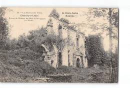 CHAUVIREY LE CHATEL - Ruines Du Château Des Ducs De Bourgogne - Très Bon état - Sonstige & Ohne Zuordnung