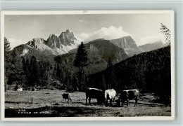 10147341 - Cortina DAmpezzo - Autres & Non Classés