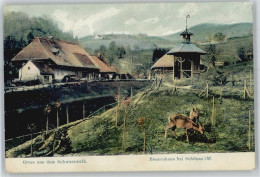 51150741 - Schoenau Im Schwarzwald - Autres & Non Classés