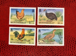 MONTSERRAT 1991 4v Neuf MNH ** Mi 800 / 803 Pájaro Bird Pássaro Vogel Ucello Oiseau - Autres & Non Classés